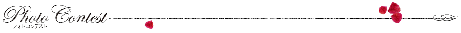 フォトコンテスト